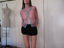 Pink Sheer Fendi Top w Sparkles1.jpg