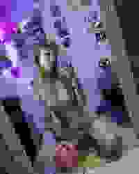 Foto 14-08-2020 20 59 23.jpg