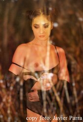 _DSC0151 copy copy1.jpg