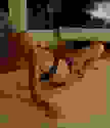 1125x1313_212eb26c1bf9c923b28bfd9973780cd6.jpg
