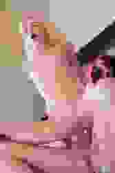 14529359_136_ed32.jpg