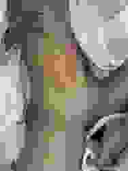 GRASS BANANA (graceserrambana) - 2020 - ONLYFANS GALLERY - 09 - 25 SEP (FRI) a - GOOD MORNING.jpg