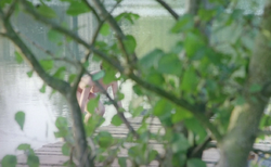 Kate Beckinsale 26.png