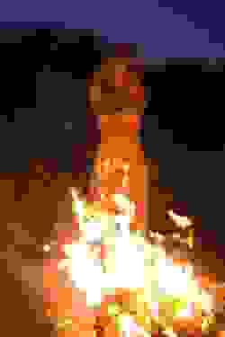 6131981910738817345.JPG