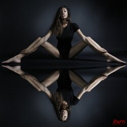 brookliyn wren 3.jpg