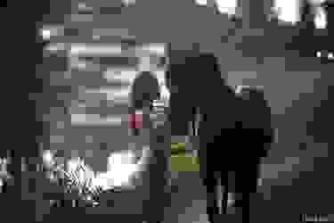 Viktoriia Aliko 12.jpg